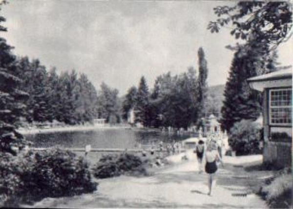08209 Auerbach Vogtland Waldbad Brunn * ca. 1970