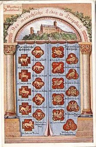 99817 Wartburg Eisenach Banketsaal Eule, * ca. 1900