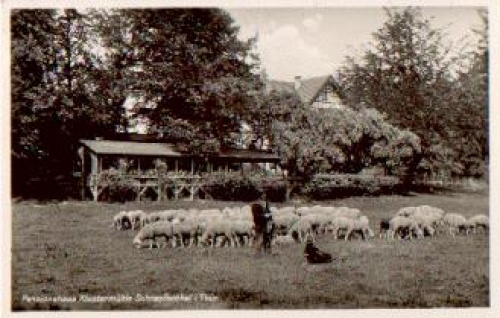 99880 Schnepfenthal Pensioinshaus Klostermühle Herd of sheep o 01/21/1938 Bahnpost