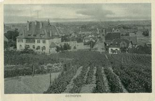 67574 Osthofen o 22.7.1908