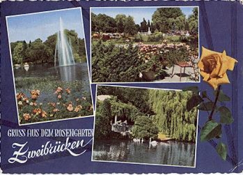 Zweibrucken Rosengarten o 22.7.1959