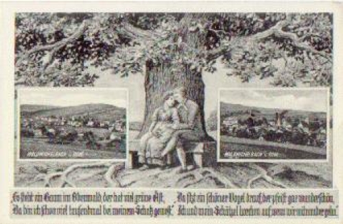 64646 Waldmichelbach * ca. 1930