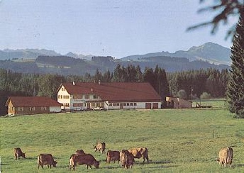 87400 Kemptner-Wald Forest inn "Zum Tobias" cows used. 10/31/1972
