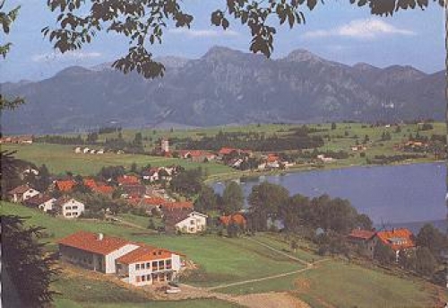 87629 Hopfen o 19.4.1975