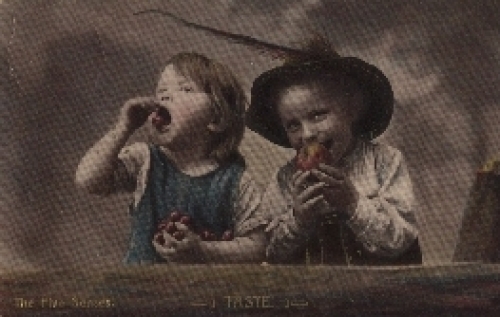Kinder Obst o 10.3.1908