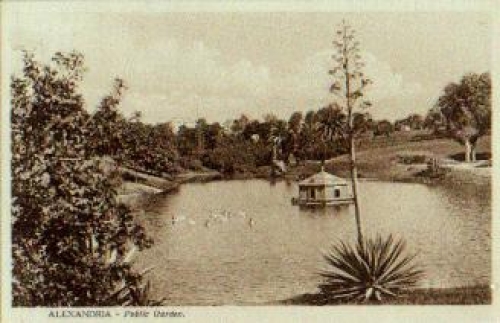 Egypt Alexandria Public Garden Parkanlagen *ca.1910