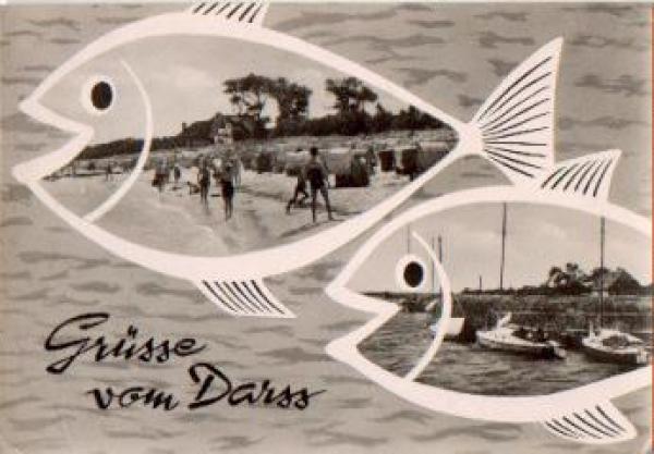18311 Darss o 6.7.1962