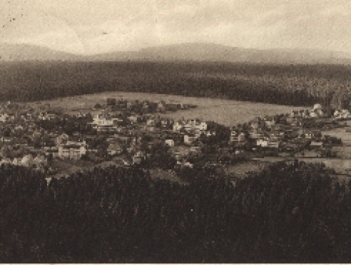 38600 Hahnenklee Oberharz o 19.8.1931