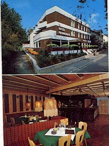 95138 Bad Steben Hotel Promenade gebr. 3.6.1985