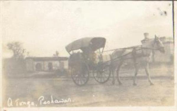 Pferdekutsche Echtfoto * ca. 1910