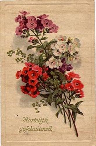 Wooden postcard flowers o 21.2.1920