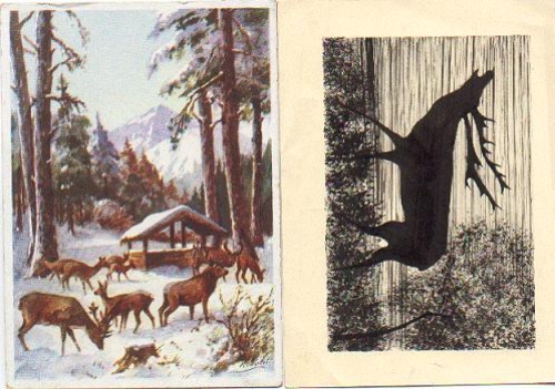 Rotwild artist card Pohl, 2 cards, * approx. 1960