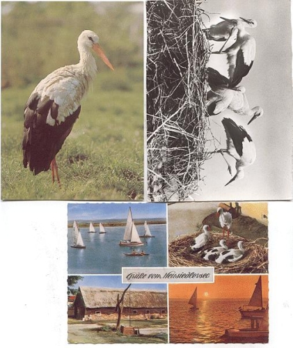 Storks 3 cards 1970