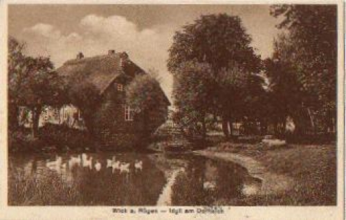 18556 Wiek Dorfteich o 31.5.1928
