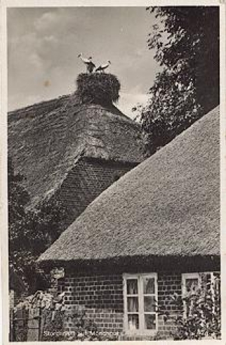 18586 Monchgut stork's nest o July 27, 1930