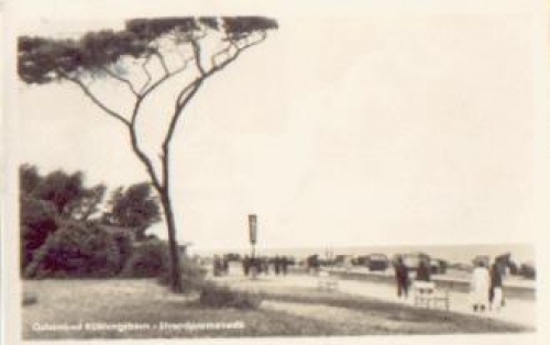 18225 Kühlungsborn Strandpromenade o 1.8.1955
