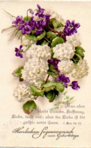 Violet lilac o 21.5.1930