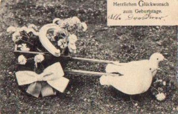 Daisy doves o 12/27/1934