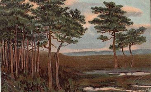 27726 Worpswede artist card S. Wencke landscape o 3.11.1908