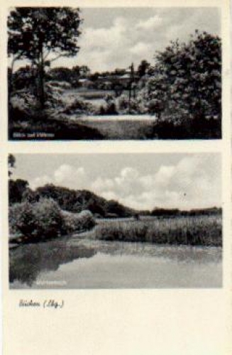 21514 Buechen o 9.11.1955