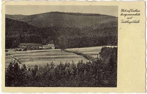 49124 Georgmarienhutte forester's house with Teutoburg Forest o 4.9.1934