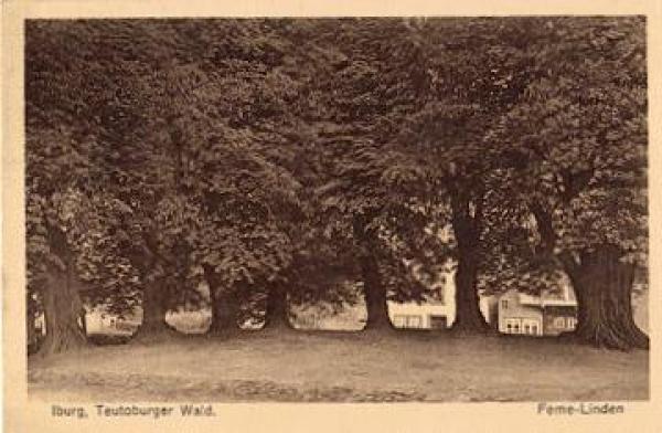 49186 Iburg Feme-Linden trees * approx. 1920