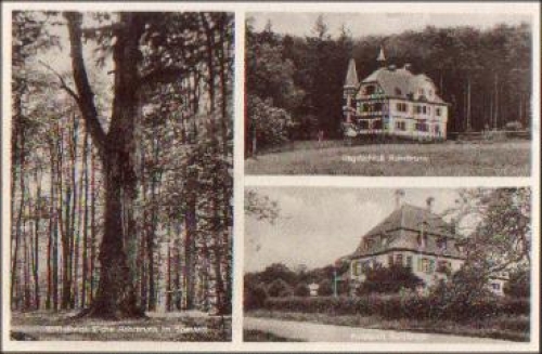 63739 Rohrbrunn 1000 year old oak * approx. 1950