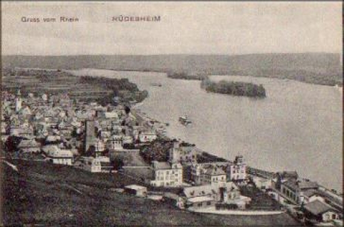65385 Ruedesheim Greetings from the Rhine * around 1920