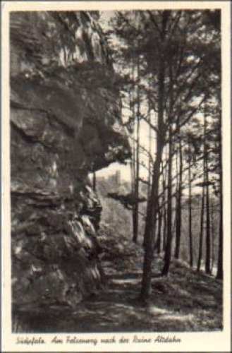 66994 Suedpfalz Am Felsenweg nach der Ruine Altdahn * 1942