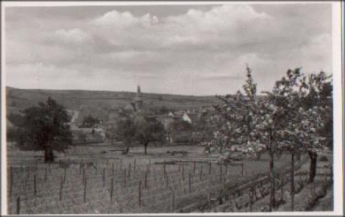 67169 Kallstadt * ca. 1950