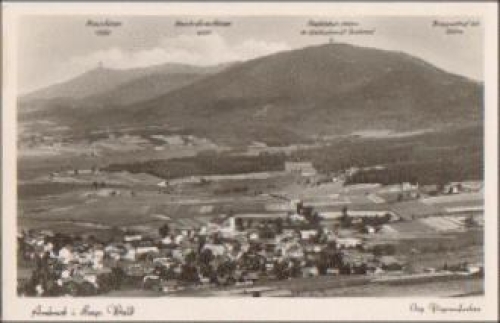 93471 Arnsbruck Luftaufnahme * ca. 1930