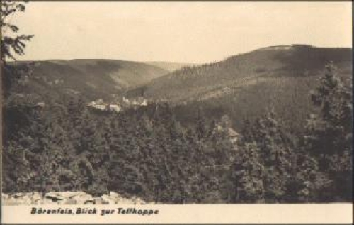01776 Bärenfels Blick zur Tellkoppe o 2.8.1962