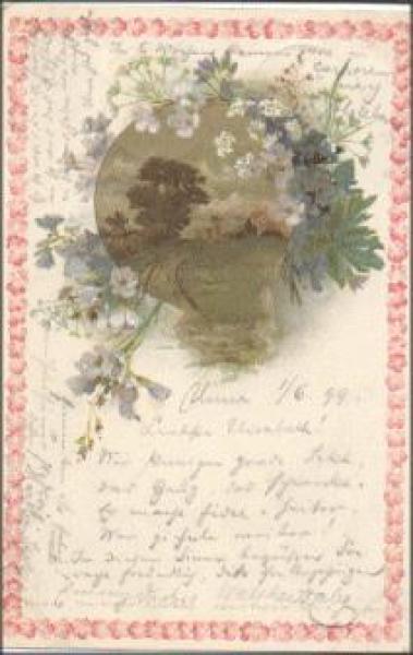 Meadow Flowers Series No. 5617 o 4.6.1899