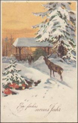 Toadstool New Year's card, series No. 8905, o 31.12.1920