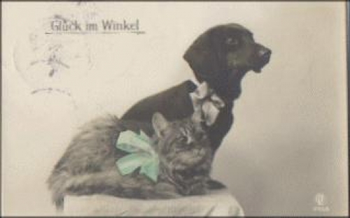 Dachshund series No. 3766/6, cat, o 02.27.1913