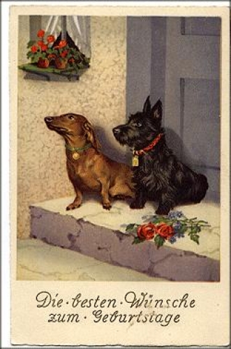 Dackel und Schnauzer Hund gebr. 26.4.1937