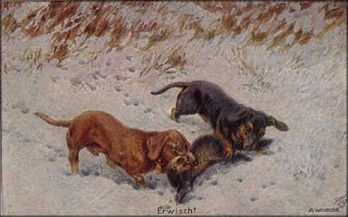 Dachshund fox artist card Weczerzick * approx. 1920