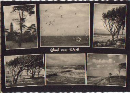 18311 Prerow at the Darss lighthouse o 31.8.1965