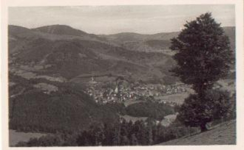 79677 Schonau im Schwarzwald vom Holzer Kreuz * ca. 1940