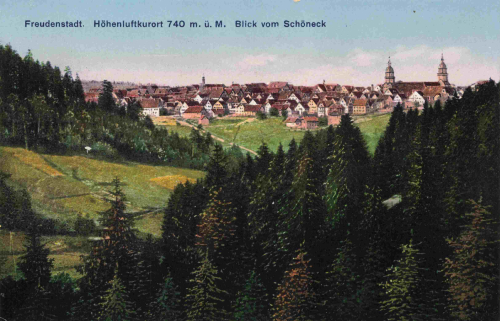 72250 Freudenstadt Schwarzwald vom Schöneck * um 1930
