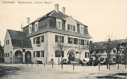 82031 Gruenwald Restauration Gruener Baum * um 1910