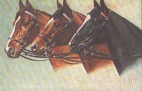 Horse heads artist card o 9.9.1915