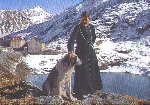 Saint Bernard dog * ca. 1980