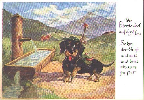 Beer dachshund on the mountain pasture, tanned. circa 1950