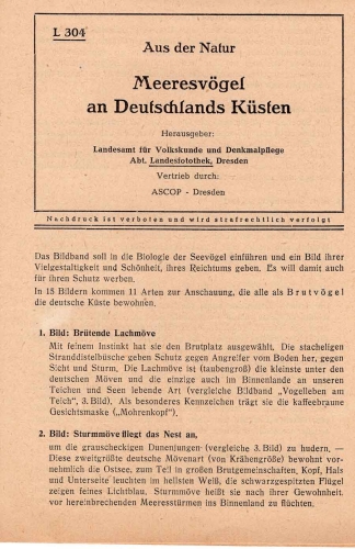 ASCOP Dresden Strahlbild Textblatt L304 "Meeresvögel an Deutschlands Küsten" 1979