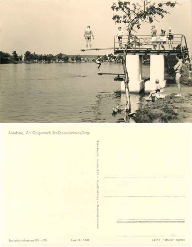 01773 Altenberg Erzgebirge Galgenteich mit Sprungturm *1961 Hanich1342