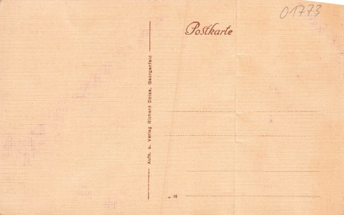 01773 Georgenfeld Altenberg Erzgebirge Hotel Lugsteinhof * um 1920