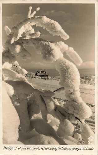 01773 Altenberg Erzgebirge Berghof Raupennest o 1936 Hahn-Foto11940