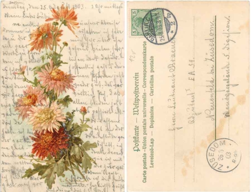 Aster bouquet artist card Catharina Klein o 25.8.1903