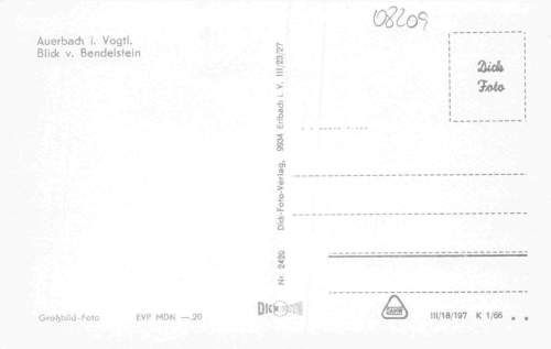 Auerbach Vogtland vom Bendelstein * 1966